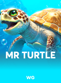Mr Turtle
